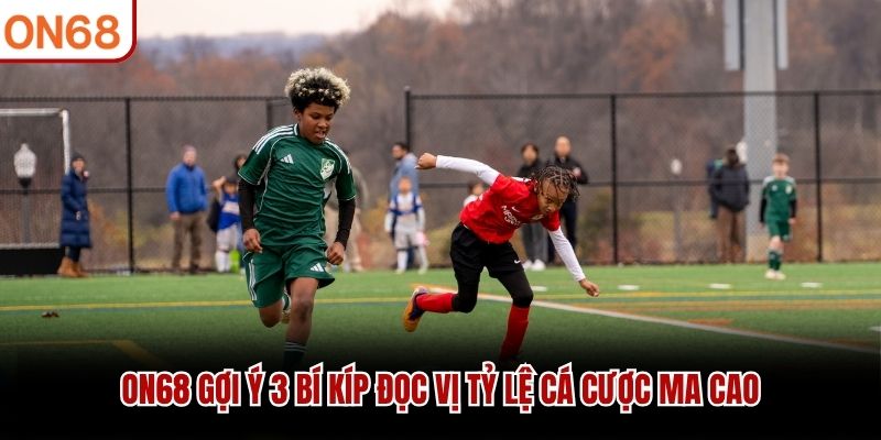 ON68 gợi ý 3 bí kíp đọc vị tỷ lệ cá cược Ma Cao