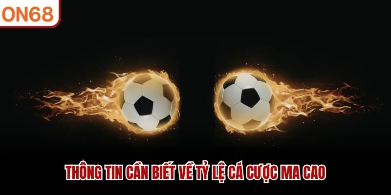 Thông tin cần biết về tỷ lệ cá cược Ma Cao